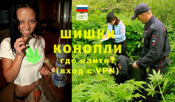 a pvp Ельня